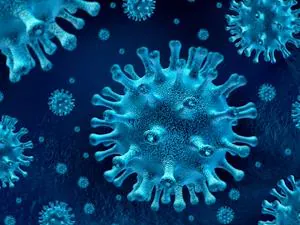 Special Dossier on Coronavirus COVID 19